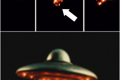 BREAKING: Life Confirmed on Proxima B New Evidence Changes Everything!
