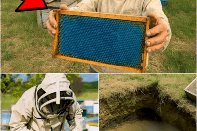 Hive Produced Blue Honey Overnight, Experts Examined it and Evacuated the Area!