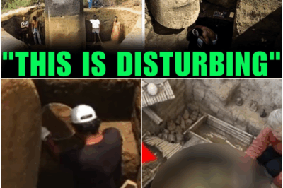 Bobby Goodson Just Spills The Truth on Why Swamp Loggers Won’t Return And It’s Heartbreaking
