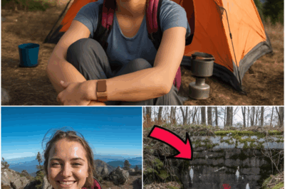 Hiker Vanished Without a Trace in 2007 — 6 Years Later, a Hidden Hideout Reveals the Truth
