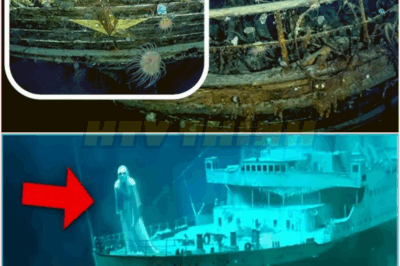 🧿“IT WAS WATCHING US” — Underwater Robots Make CHILLING Discovery in Shackleton’s Frozen Graveyard Beneath Antarctic Ice! 🧊🤖⚠️
