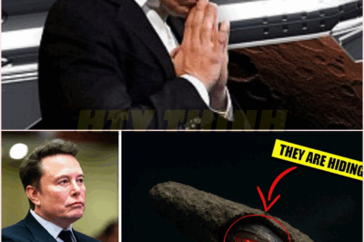 🧿ELON MUSK DROPS BOMBSHELL: “3I/ATLAS IS AN ALIEN SPACECRAFT — WE MUST RUN OR DESTROY IT!” 🌌🚀💥
