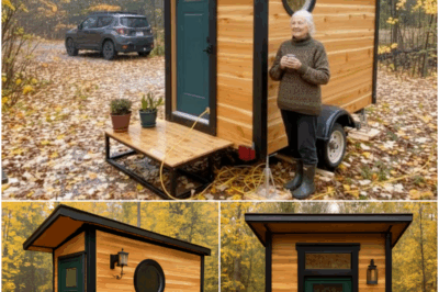 Woman Lives in a $1 House – Here’s How It Looks Inside!