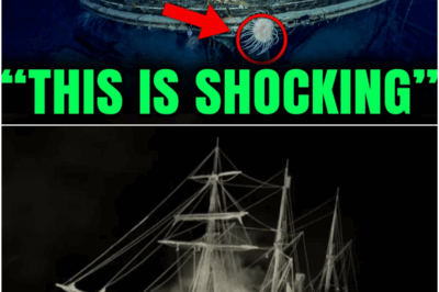 Underwater Robots Find Shackleton’s Endurance Shipwreck in Antarctic What They Saw Is TERRIFYING