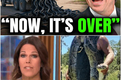 Florida Was Mocked For Releasing HUNDREDS of Rare Snake Killers… The Result Changed Their Minds!