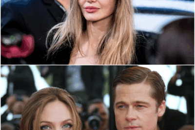 Angelina Jolie criticizes America in free speech plea