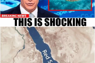 What Scientists Just Found at the Red Sea Will Leave You Speechless