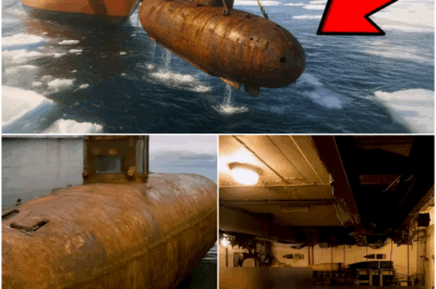 Submarine Found in Antarctic Ocean, What They Discovered Inside Will Shock You!