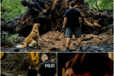 Dog Wouldn’t Stop Barking at Tree Stump, Gut Told Him to Call Authorities…