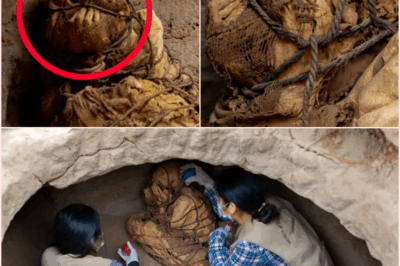🧿 Mysterious Mummy with Hands Covering Face Unearthed in Peru: Silent Secret from 1,200 Years Ago Could Rewrite Ancient Rituals and Beliefs 🕵️♂️💀🌄