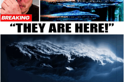 Elon Musk: “Oumuamua Has Suddenly Returned and It’s Not Alone!”