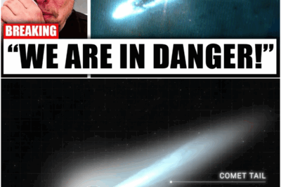 Elon Musk Just Issued a Warning About 3I Atlas — And NASA Is Silent