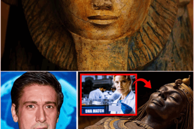 🧿 What They Found in Queen Hatshepsut’s DNA Unveils a Bizarre and Unexpected Secret About the Legendary Egyptian Pharaoh 👑🧬🔍