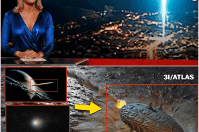 🧿 CERN’s Astonishing Signal Exchange with 3I ATLAS: Did Humanity Just Receive a Cosmic “Hello” from the Mysterious Interstellar Visitor? 🚀👽📡