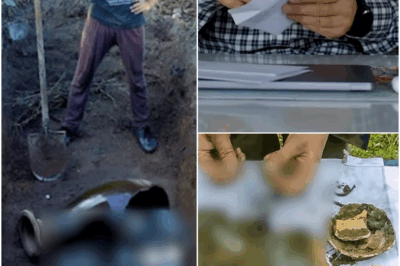 Dad Said in His Will to Dig in the Backyard, the Discovery Shocked Everyone!