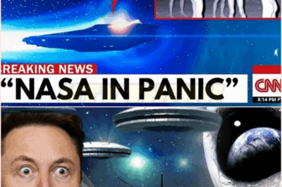 🧿 GLOBAL SHOCK: NASA Confirms Alien Life — Elon Musk Stunned as Humanoid Creatures Emerge from a Massive Spacecraft Hovering in Earth’s Orbit: “These Monsters Didn’t Come to Communicate… They Came to Judge Whether We Still DESERVE TO EXIST!” 🌌👽🚀