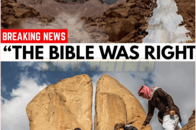 🧿 THEY TRIED TO HIDE THIS: Saudi Arabia CONFIRMS a Biblical Discovery Beneath the Desert That Could Shake the Foundations of History and Religion Forever! What Forbidden Secrets Lie Buried Under the Sands? Is This the Proof of Ancient Prophecies or a Hidden Truth Governments Didn’t Want You to Know? Prepare for a Revelation Wrapped in Mystery, Controversy, and Unimaginable Consequences… 🌵📜🔥