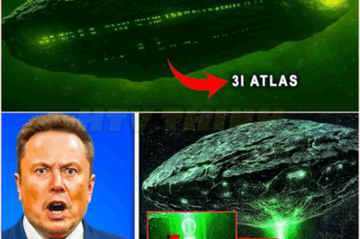 🧿 Elon Musk’s Terrifying Warning: 3I/ATLAS Just Made an Alien-Like Movement That Could Signal an Imminent Cosmic Threat to Humanity’s Survival! Is This Mysterious Interstellar Object Sending Us a Message or Preparing for Something Far More Sinister? Scientists and Space Enthusiasts Are Left Stunned and Uneasy as Unexplained Phenomena Challenge Everything We Thought We Knew About Our Place in the Universe… 🚀👽⚠️