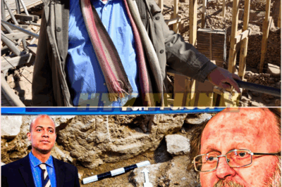 🧿 Scientists Just Dug at Göbekli Tepe and Uncovered A Chamber That Left Them Speechless — A Mind-Blowing Discovery That Challenges Everything We Know About Ancient Civilizations, Revealing Secrets Buried For Over 11,000 Years In The World’s Oldest Temple Complex! 🏺🔍🌌