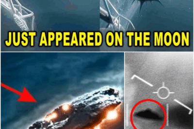 Scientists Stunned as Michio Kaku Reveals 3I/ATLAS’s Message to Earth—It’s Not What We Expected!