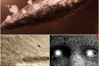 “WE WILL ARRIVE IN 40 DAYS” — Scientists Detect Strange Signals Coming From Mysterious Object Approaching Earth. NASA Confirms: “It’s Not a Meteor… It’s something that can DESTOY the EARTH.”