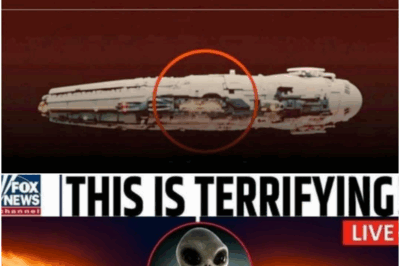 “This is the END of humanity…” — James Webb Telescope Captures TERRIFYING Alien Megastructure.