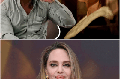 Angelina Jolie: “I loved every minute of” Taylor Sheridan Dragging Me through ‘Emotional Hell’ for His $23M Thriller