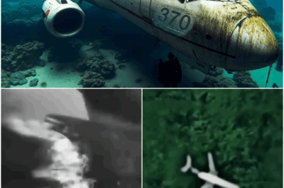Scientists Terrifying New Discovery Of Malaysian Flight 370 Changes Everything!