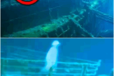 What They Discovered in Titanic Shocked the Whole World