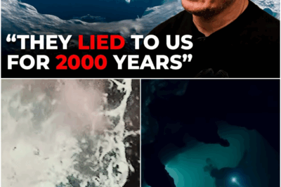 Elon Musk Just Revealed The Terrifying Truth Behind Antartica