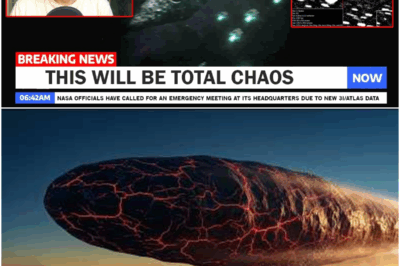 Shocking NASA Admission: 9 Objects Are Following 3I/ATLAS Through the Solar System