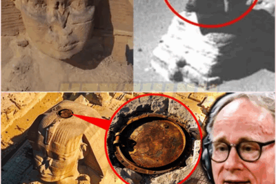 🧿 Scientists Finally Opened The Secret Hatch On Top Of Egypt’s Ancient Sphinx — What They Discovered Inside Is Shocking, Controversial, And Could Rewrite History Forever! 🏺⚠️👁️