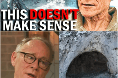 Antarctica’s Hidden Secret – Scientists Discovered Something Frozen In A Cave And They Are Scared