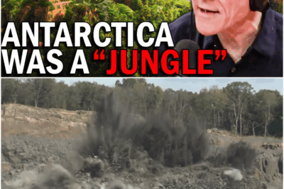 Ancient Antarctica – Scientists Discovered A Secret Map That Proves It Was A Jungle