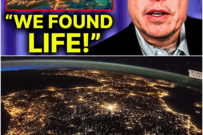 Elon Musk: ”JWST Discovers Terrifying City Lights on Proxima B!”