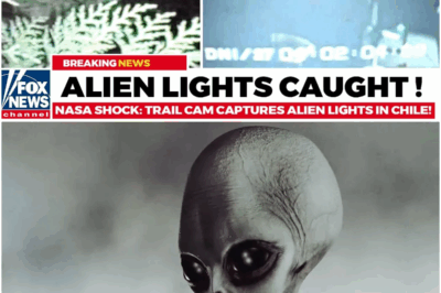 NASA Shock: Trail Cam Captures Alien Lights in Chile!