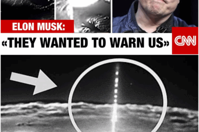 Proxima b Is Alive: NASA Confirms Impossible Signal