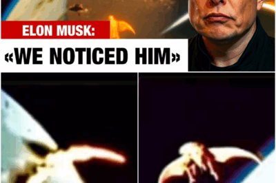 Something Answered the James Webb Telescope – And It’s Still Transmitting