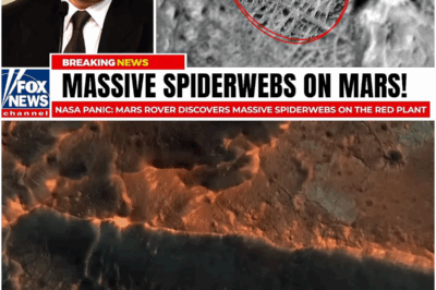 NASA Panic: Mars Rover Discovers Massive Spiderwebs on the Red Plant