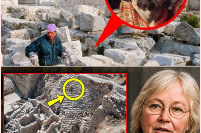 🧿 BEFORE I DIE, I NEED TO TELL THE TRUTH — EILAT MAZAR’S SHOCKING DISCOVERY IN THE PALACE OF DAVID THAT COULD ALTER BIBLICAL HISTORY FOREVER 🏰📜🔥