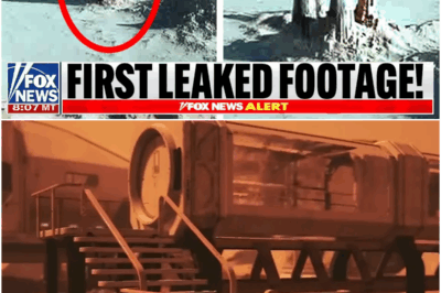 James Webb Telescope Captures Evidence of ALIEN Cities on Proxima B That Will TERRIFY You!