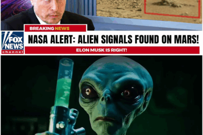 NASA Alert: Alien Signals Found on Mars! Elon is RIGHT!