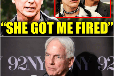Mark Harmon REVEALS The Reasons Why He Had To LEAVE NCIS