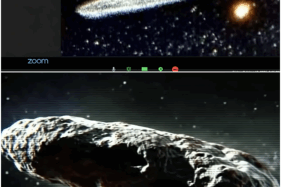 It’s Confirmed, 3I/ATLAS Is NOT A Comet | Avi Loab