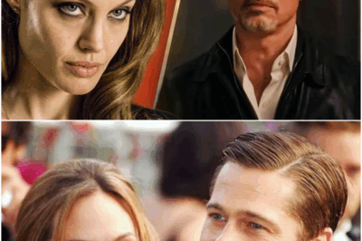 Angelina Jolie Slammed Brad Pitt for Putting His Career “Over the needs of his family” as Property Battle Reignites