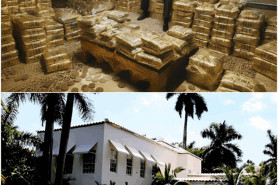 You Won’t Believe What They Found Inside The Homes Of The Biggest Mafia Bosses