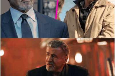The $1 Million TV Club: Sylvester Stallone Earning as Much as Yellowstone Legend Kevin Costner Shows How Well He Has Transitioned From Movies