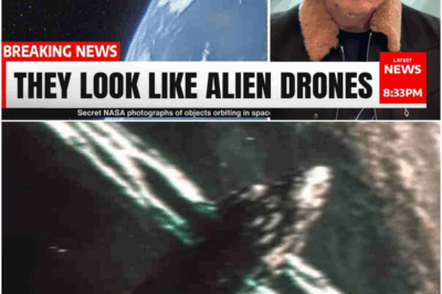 NASA Shuts Down 3I/ATLAS Live Feed After Something Massive Shows Up…