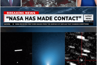 First Ever On-Surface Viewing of 3I/ATLAS Reveal What It Really Is….