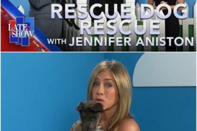 The Shocking Truth Behind Rescue Dog Rescue: What Jennifer Aniston Didn’t Want You to Know!